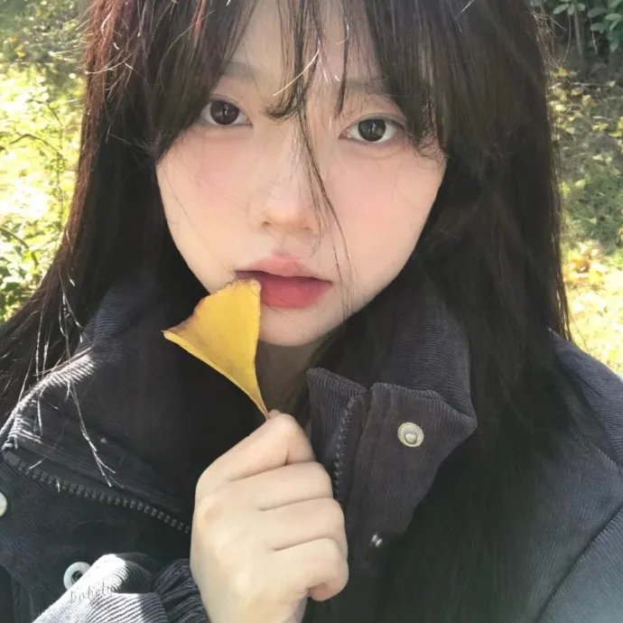 碎块